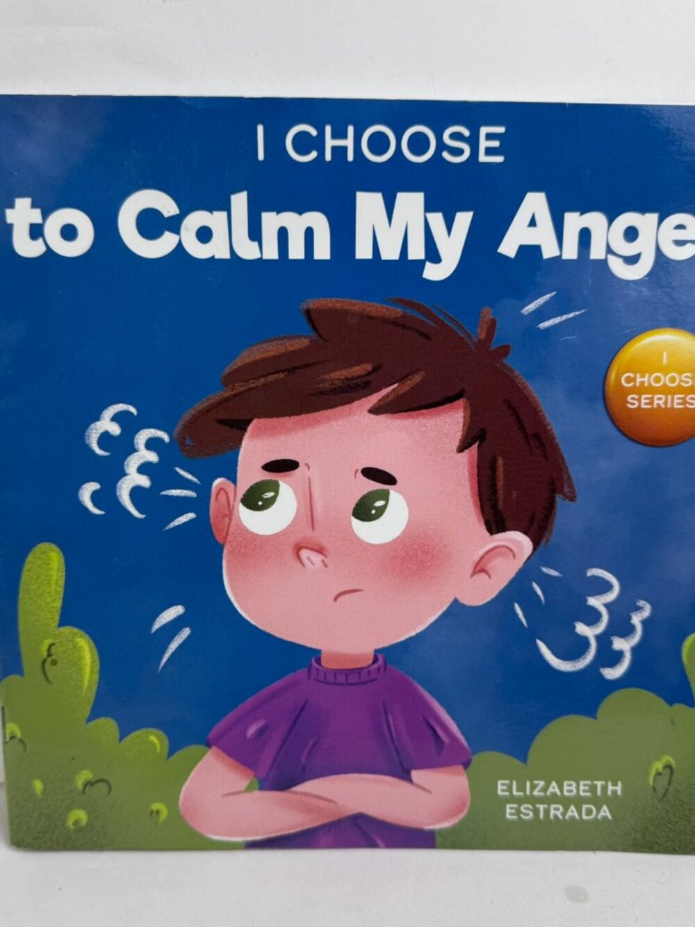 I Choose to Calm My Anger by Elizabeth Estrada Paperback Book Children Emotions